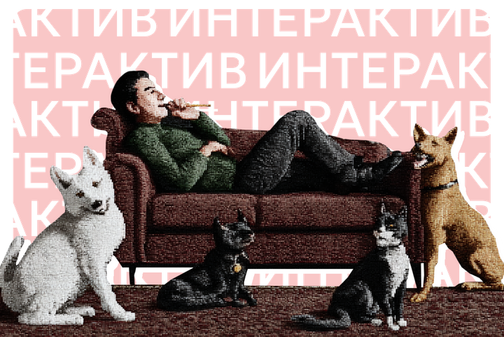 Какое домашнее животное подходит вам по характеру?