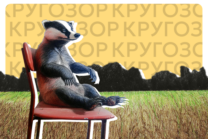 Постирония, метаирония, сарказм. Как разобраться в нюансах комического и не прослыть человеком без чувства юмора