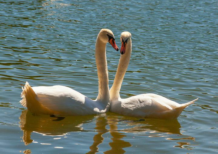 Деньги за долгий брак, «подарки» от мошенников к 23 Февраля и секрет счастливых отношений. Главное к утру 13 февраля